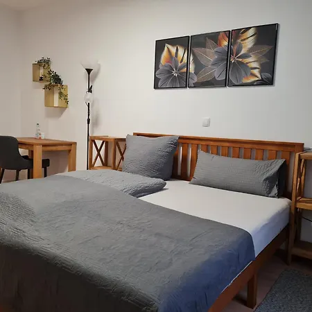 Guest house City Pension Zwickau Zwickau